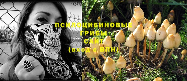 прущие грибы Алексеевка