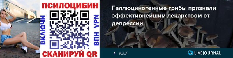 Псилоцибиновые грибы Psilocybe  Хвалынск 